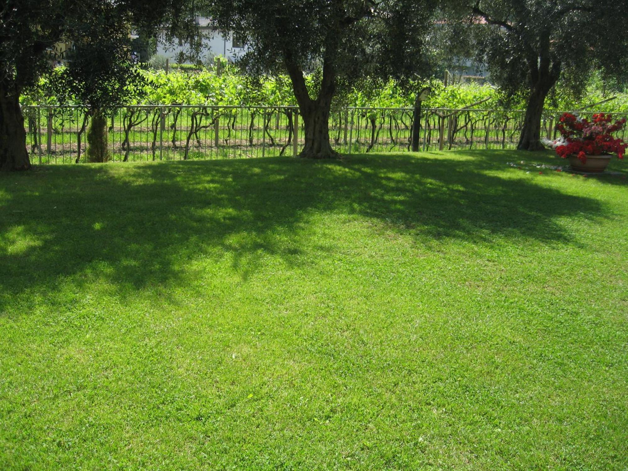 אפרטהוטל טורבולה Casa Carla מראה חיצוני תמונה